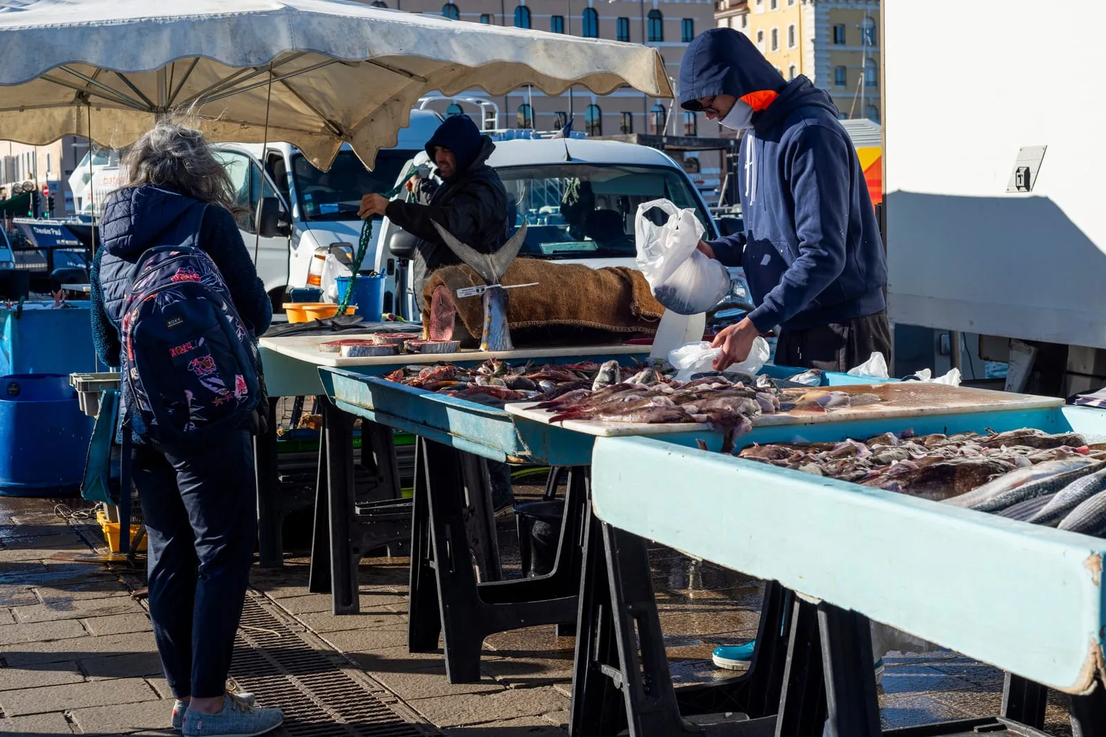 La poissonnerie du matin sur les quais du Vieux-Port de Marseille