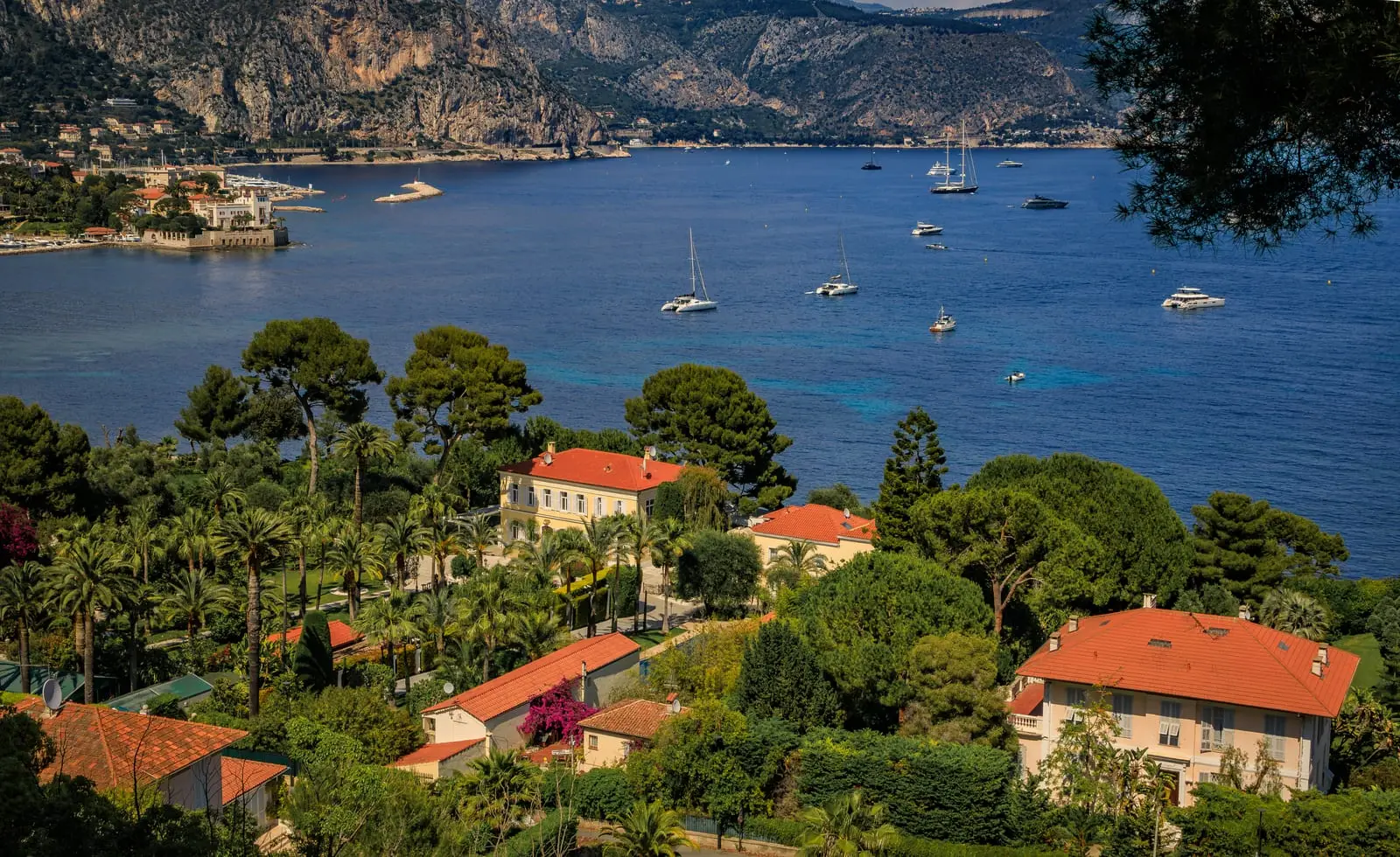 Villas among the pines, facing the Mediterranean