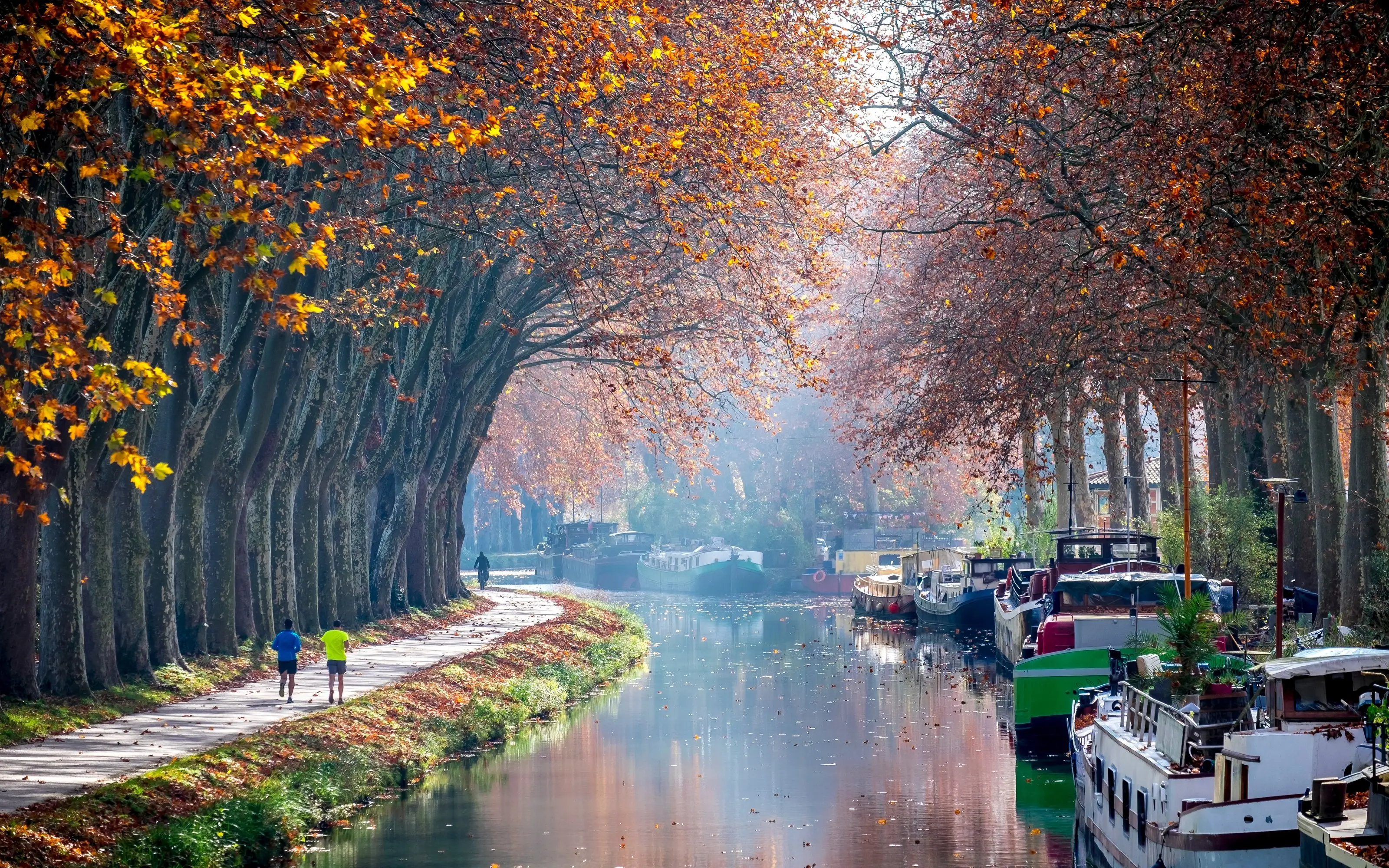 Le canal du Midi à Toulouse, ses platanes en automne et ses péniches