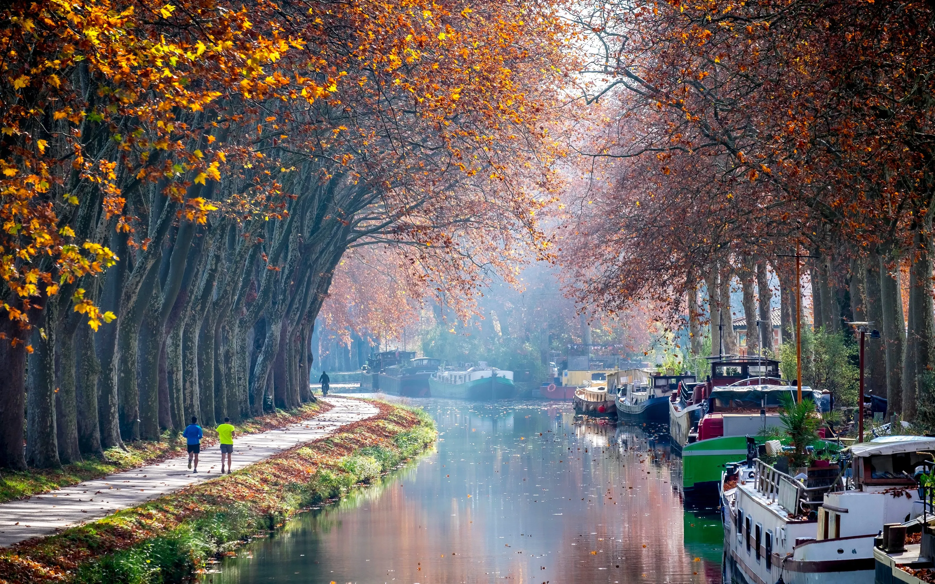 Le canal du Midi à Toulouse, ses platanes en automne et ses péniches
