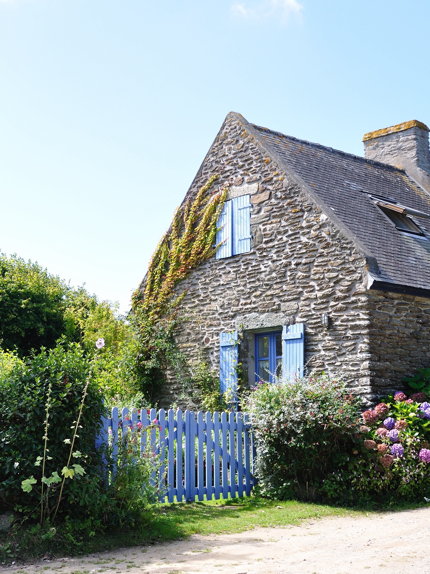 Maison bretonne de pierre, volets bleus et hortensias en fleurs